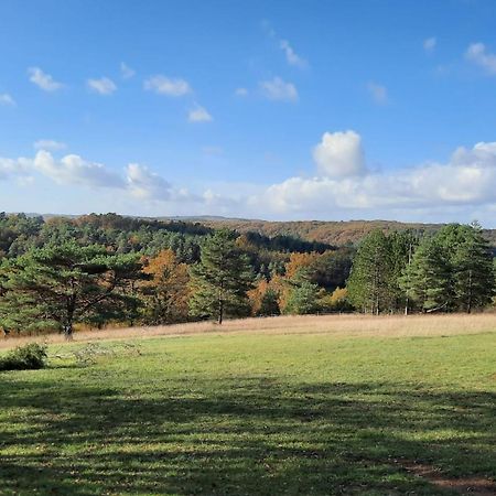 Sainte-Foy-de-Longas Gite Les Placettes מראה חיצוני תמונה
